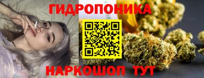 амф Краснознаменск