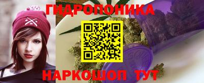 амф Краснознаменск
